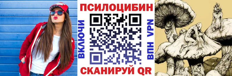 где продают наркотики  Андреаполь  Псилоцибиновые грибы Psilocybe 